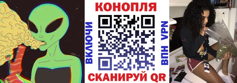 продажа наркотиков  Кадников  Шишки марихуана конопля 